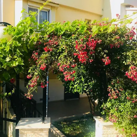 Ada Life || Villa Near Ladies Beach - Summer Enjoyment With Sea View || Nk5 - #117003 Dom wakacyjny *